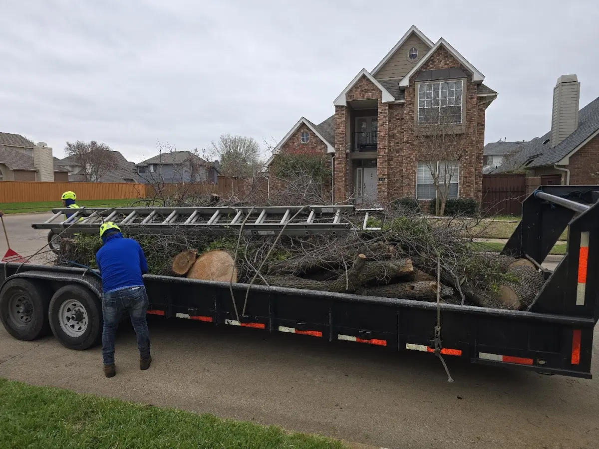 Expert Tree Removal with proper safety equipment in Grenville